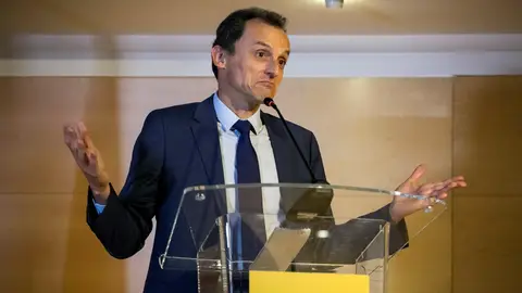 El exministro de Ciencia, Innovación y Universidades, Pedro Duque, en una rueda de prensa El exministro de Ciencia, Innovación y Universidades, Pedro Duque, en una rueda de prensa