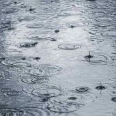 Las lluvias fueron generosas en C.Real durante el año hidrológico