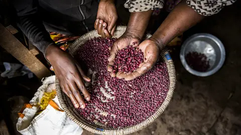 Agricultores de Kenia Contraparte