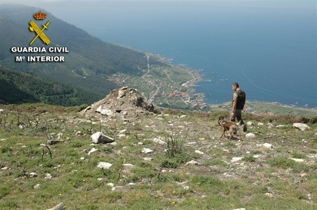 Ecologistas reclaman a la Junta que habilite patrullas caninas para detectar cebos envenenados en el medio natural Ecologistas reclaman a la Junta que habilite patrullas caninas para detectar cebos envenenados en el medio natural