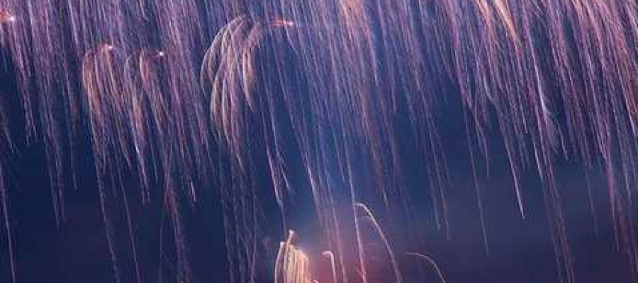 Fotografía de Ginés Ruiz, ganadora de la categoría Palmera de la Virgen del concurso de la Asociación Amigos de la Nit de l'Albá Fotografía de Ginés Ruiz, ganadora de la categoría Palmera de la Virgen del concurso de la Asociación Amigos de la Nit de l'Albá