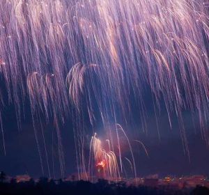 Fotografía de Ginés Ruiz, ganadora de la categoría Palmera de la Virgen del concurso de la Asociación Amigos de la Nit de l'Albá Fotografía de Ginés Ruiz, ganadora de la categoría Palmera de la Virgen del concurso de la Asociación Amigos de la Nit de l'Albá