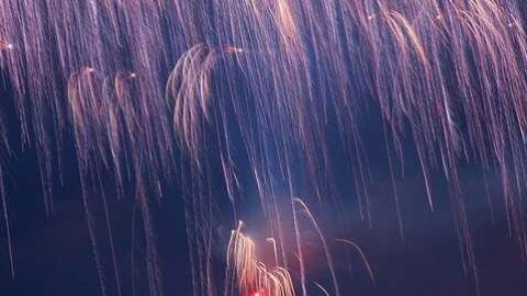 Fotograf&iacute;a de Gin&eacute;s Ruiz, ganadora de la categor&iacute;a Palmera de la Virgen del concurso de la Asociaci&oacute;n Amigos de la Nit de l'Alb&aacute; 