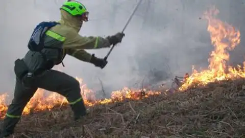 Disminuyen los incendios forestales en la provincia de Ciudad Real Disminuyen los incendios forestales en la provincia de Ciudad Real