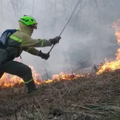 Disminuyen los incendios forestales en la provincia de Ciudad Real Disminuyen los incendios forestales en la provincia de Ciudad Real