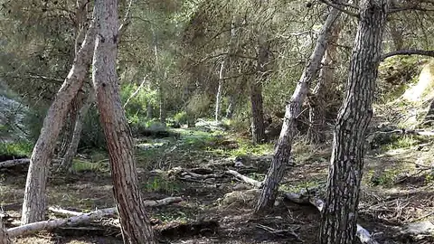Barranco de Fuentes en la Sierra de Santa Pola Barranco de Fuentes en la Sierra de Santa Pola