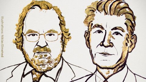 James P Allison y Tasuku Honjo