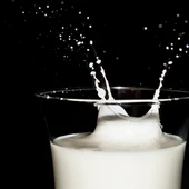Leche Leche