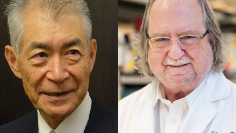 Premio Nobel de Medicina por la inmunoterapia contra el cancer