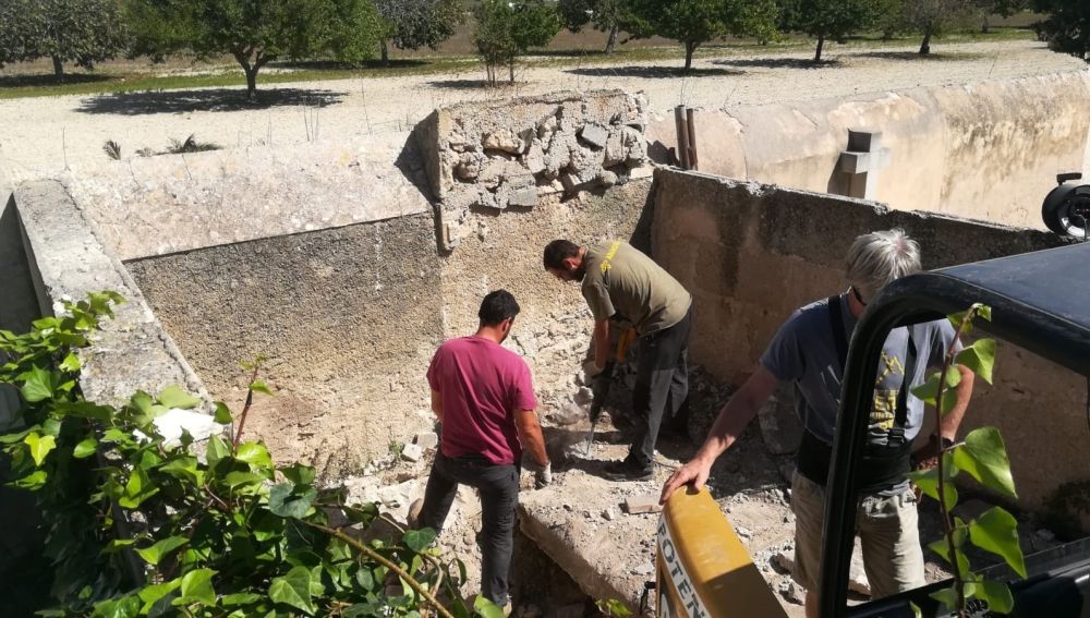 Exhumación de una fosa en Mallorca