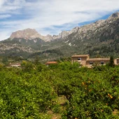 Vall de Sóller, en la Serra de Tramuntana Vall de Sóller, en la Serra de Tramuntana
