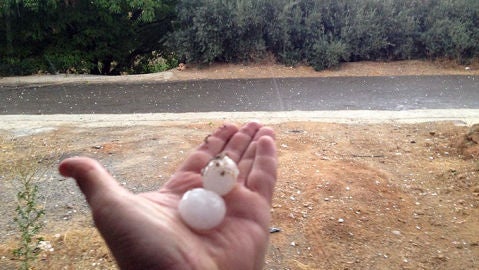 ANEGACIONES EN LOCALES Y S&Oacute;TANOS 