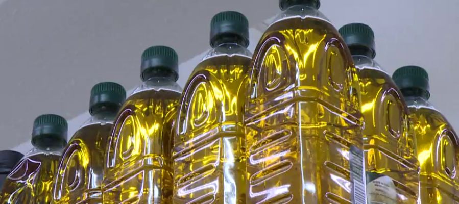Detectan fraude en la producción y venta de aceite de oliva en España Detectan fraude en la producción y venta de aceite de oliva en España