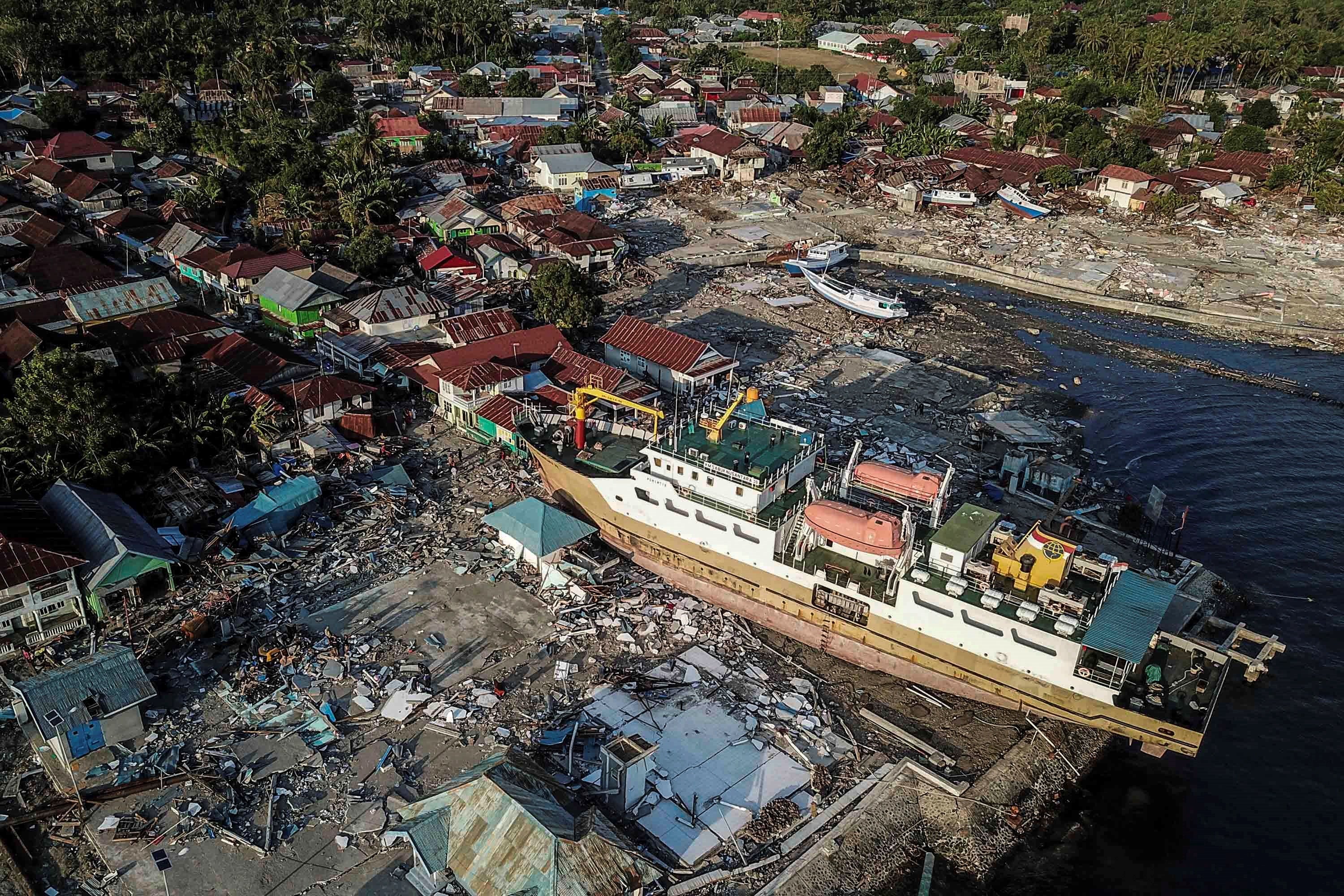 Terremotos: los animales, un sismógrafo natural Terremotos: los animales, un sismógrafo natural