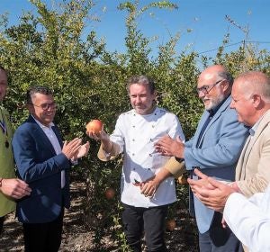 Albert Adrià tras proceder al corte de la primera granada mollar de Elche de la temporada Albert Adrià tras proceder al corte de la primera granada mollar de Elche de la temporada