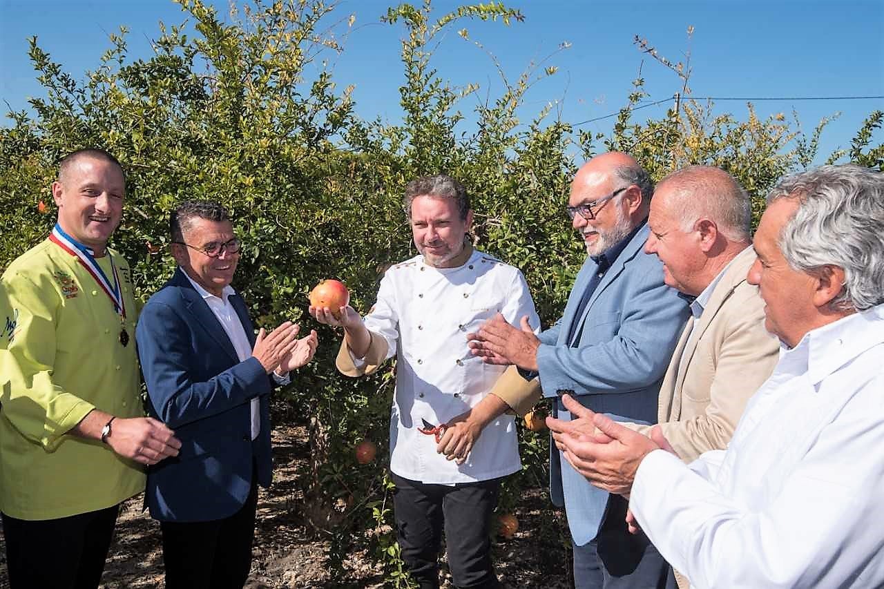 La producción de la granada mollar de Elche se incrementa un 5% este año La producción de la granada mollar de Elche se incrementa un 5% este año