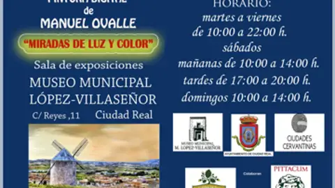 Manuel Ovalle Pintura Digital