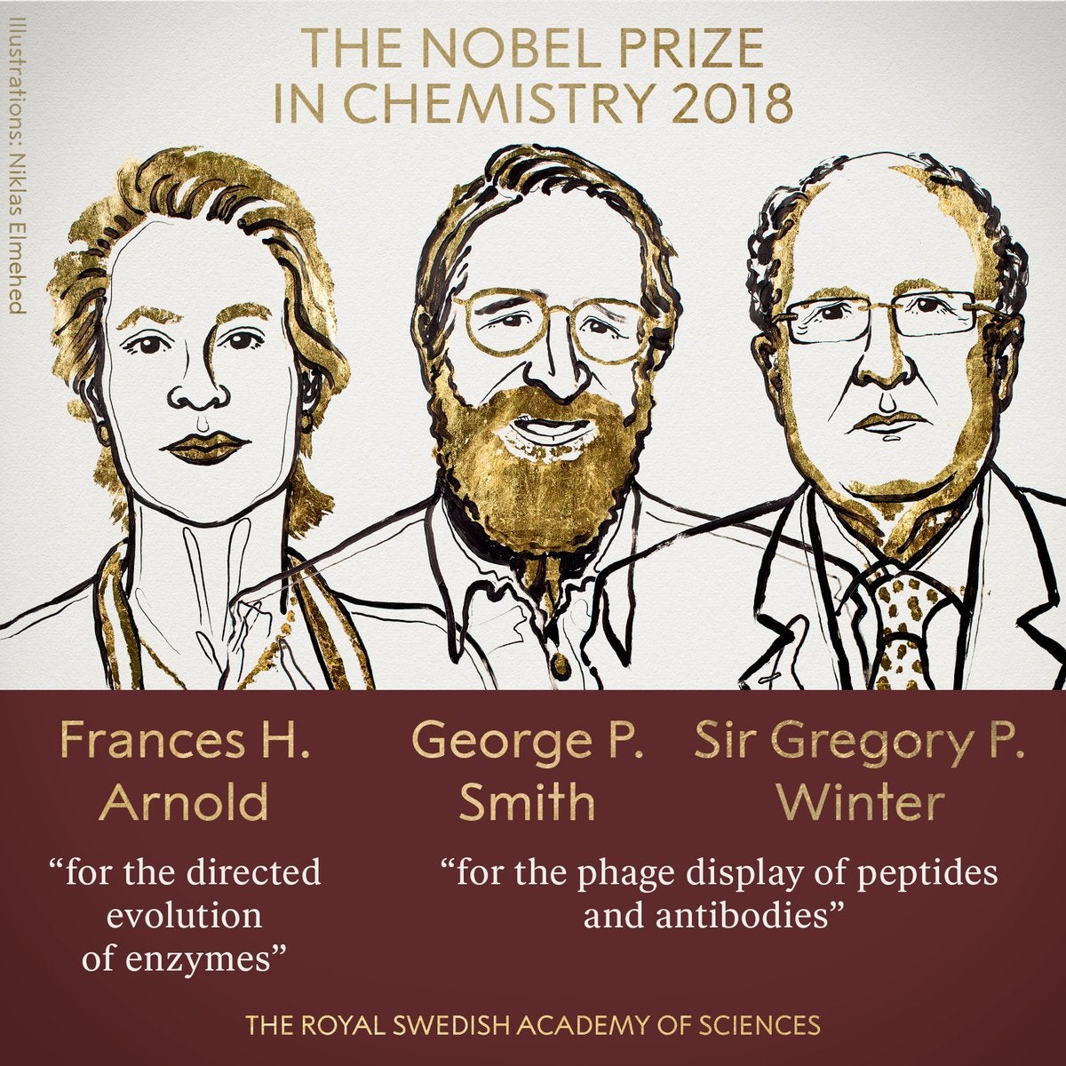 Arnold, Smith y Winter ganan el Premio Nobel de Química por los avances en el desarrollo de proteínas Arnold, Smith y Winter ganan el Premio Nobel de Química por los avances en el desarrollo de proteínas