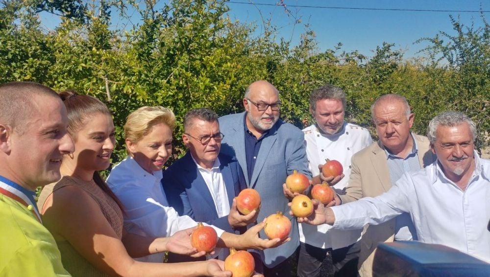 Acto del corte simbólico de las primeras piezas de granada mollar de Elche en 2018
