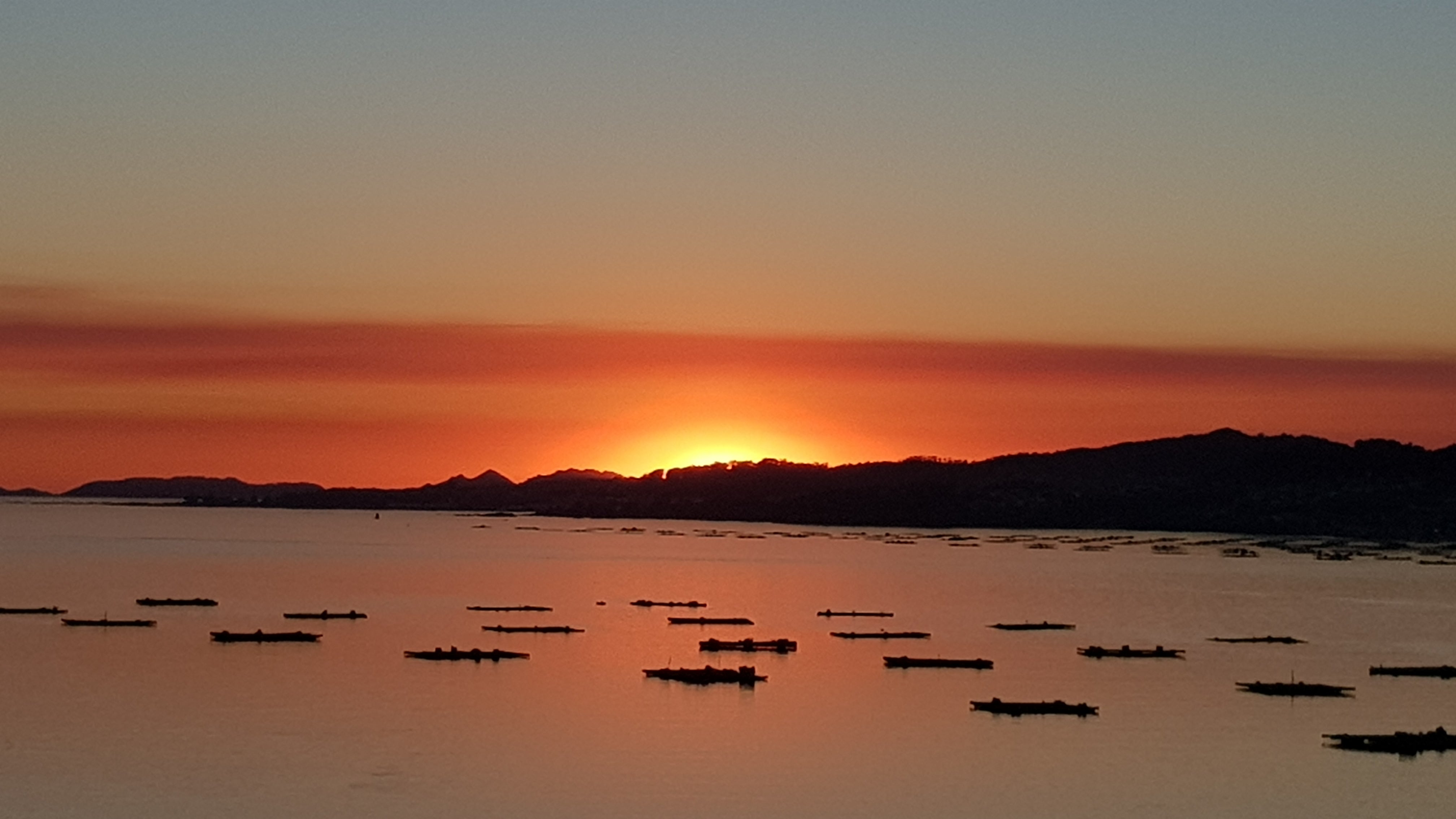 Se dispara el número de turistas extranjeros en la ciudad de Vigo Se dispara el número de turistas extranjeros en la ciudad de Vigo