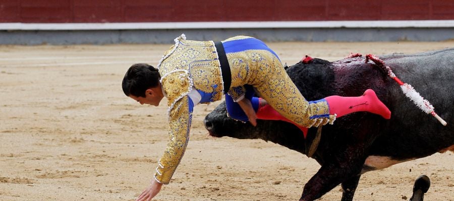 El diestro Rubén Pinar es cogido por el todo durante la tradicional corrida del "Día de la Hispanidad" El diestro Rubén Pinar es cogido por el todo durante la tradicional corrida del "Día de la Hispanidad"