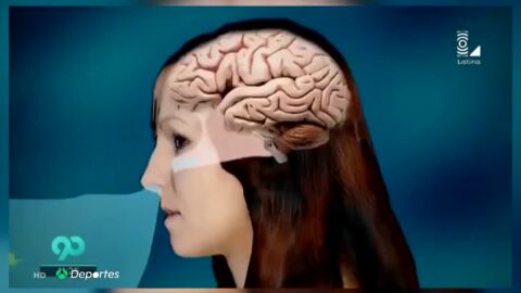 &iquest;Qu&eacute; es la 'ameba comecerebros' y d&oacute;nde se encuentra? Dos estadounidenses mueren al a&ntilde;o por esta infecci&oacute;n