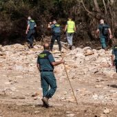 Especialistas de la Unidad Militar de Emergencias, la Guardia Civil y Bomberos de Mallorca 