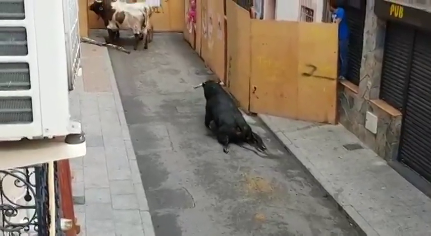 PACMA denuncia el vídeo de un toro que se rompe las patas nada más salir del cajón PACMA denuncia el vídeo de un toro que se rompe las patas nada más salir del cajón
