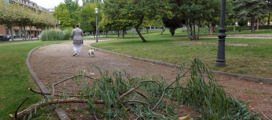 Una rama caída en el parque León Felipe de Zamora debido al vendaval provocado por el ciclón tropical Leslie Una rama caída en el parque León Felipe de Zamora debido al vendaval provocado por el ciclón tropical Leslie