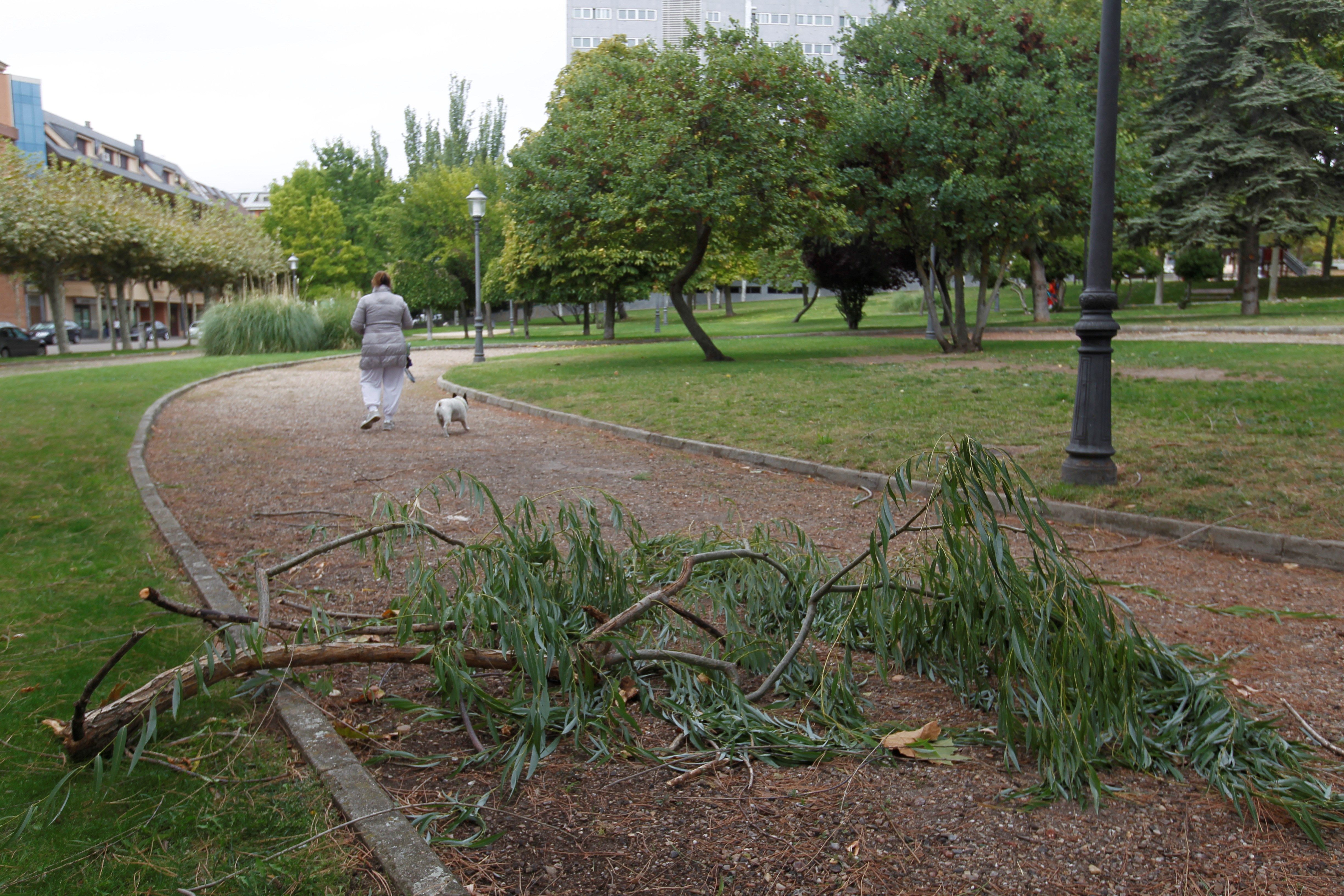 El fuerte viento provoca la rotura de un cable y origina un incendio en Guarrate, Zamora El fuerte viento provoca la rotura de un cable y origina un incendio en Guarrate, Zamora