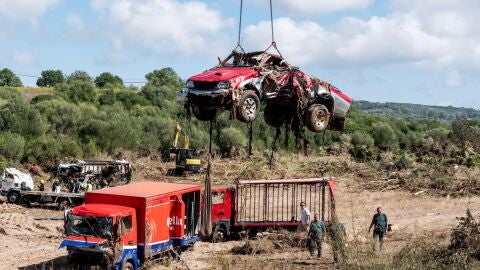 Especialistas de la Unidad Militar de Emergencias, la Guardia Civil y Bomberos de Mallorca