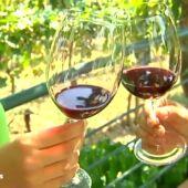 Cremas faciales con vino tinto, la sorprendente creación de dos mujeres gallegas