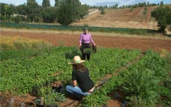Fexamur lanza la campaña 'De sus raíces, nuestro futuro' para celebrar el Día Internacional de las Mujeres Rurales Fexamur lanza la campaña 'De sus raíces, nuestro futuro' para celebrar el Día Internacional de las Mujeres Rurales