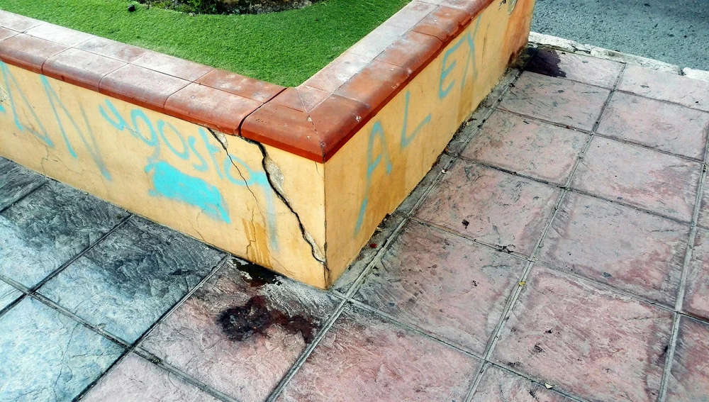 Grieta que presenta una de las jardineras de la calle Obispo Barrachina de Elche Grieta que presenta una de las jardineras de la calle Obispo Barrachina de Elche