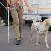 perro guia ciego perro guia ciego