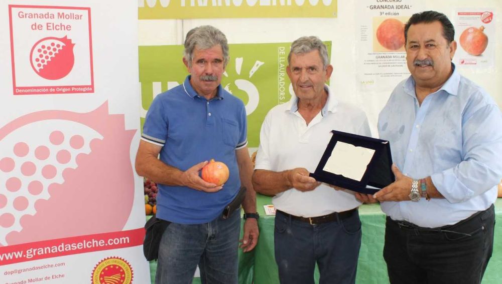 Ganador del concurso Granada Ideal