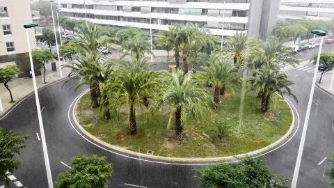 Elche.