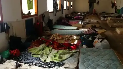 300 temporeros senegaleses trabajan en condiciones infrahumanas 300 temporeros senegaleses trabajan en condiciones infrahumanas