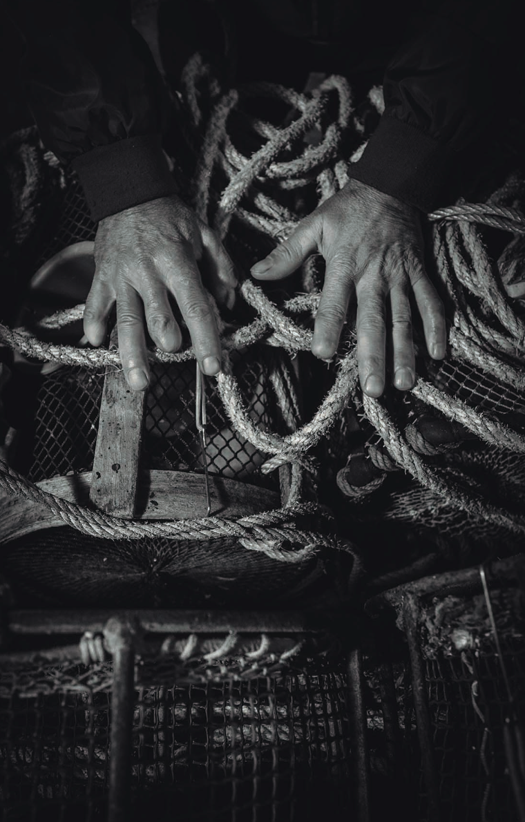 Alba Sotelo presenta "Voltar a Ítaca" Alba Sotelo presenta "Voltar a Ítaca"