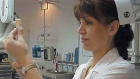 BOLSA DE TRABAJO DEL SAS 