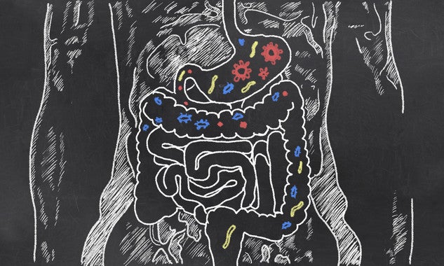 30ytantos: Las malas digestiones de un intestino permeable 30ytantos: Las malas digestiones de un intestino permeable