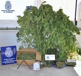 Detenidas 5 personas en Puertollano como presuntas autoras de un delito de tráfico de drogas Detenidas 5 personas en Puertollano como presuntas autoras de un delito de tráfico de drogas