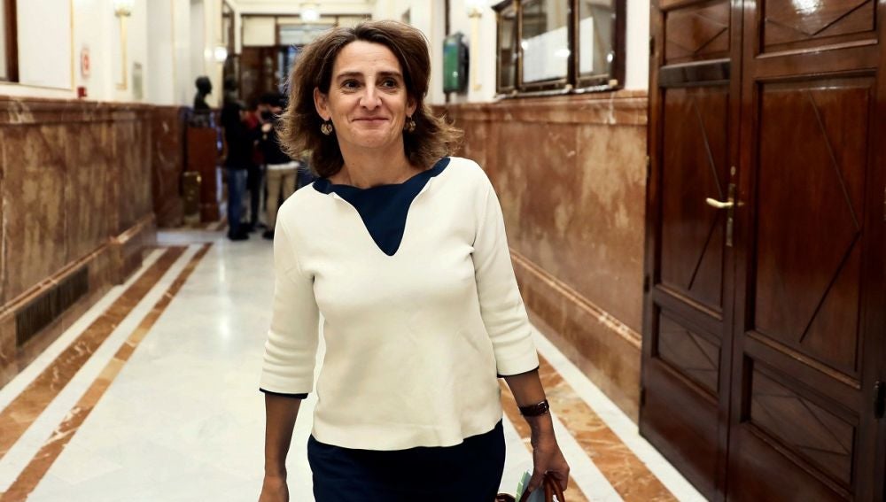 Teresa Ribera en el Congreso de los Diputados