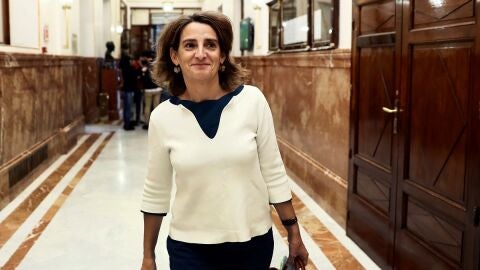 Teresa Ribera en el Congreso de los Diputados