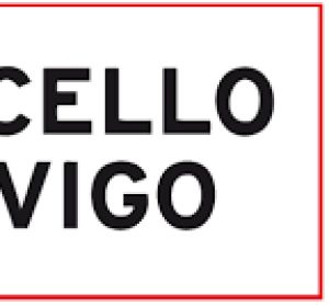 logo concello vigo logo concello vigo
