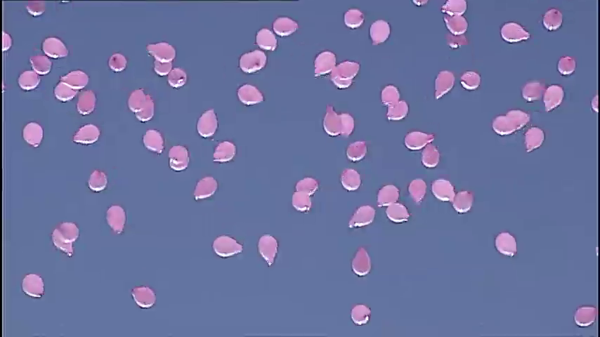 El Circuito 'Marea Rosa' de la AECC pasará en octubre por cinco localidades de la provincia de Badajoz El Circuito 'Marea Rosa' de la AECC pasará en octubre por cinco localidades de la provincia de Badajoz