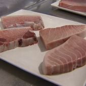 Si el atún rojo es muy barato, sospecha: así es el cerdo ibérico del mar excelente, el de la costa de Cádiz