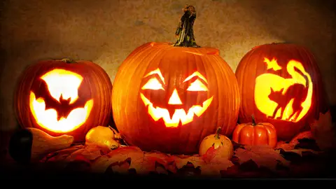 sd halloween sd halloween