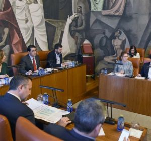 Pleno de la Diputación de Ciudad Real Pleno de la Diputación de Ciudad Real