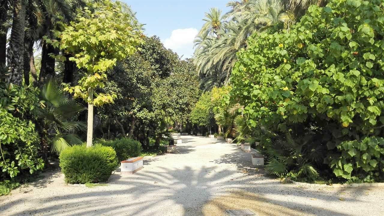 El sol se mantiene en Elche, Crevillent y Santa Pola a la espera de desaparecer durante el fin de semana El sol se mantiene en Elche, Crevillent y Santa Pola a la espera de desaparecer durante el fin de semana